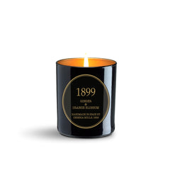 Ginger & Orange Blossom - Gold Edition - 230 gm Candle
